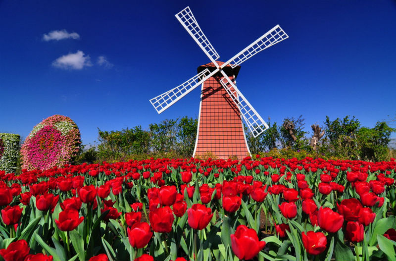 WeekEnd в Амстердаме WeekEnd в Амстердаме